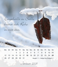 Januar 2009 - Tischkalender